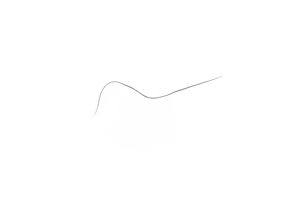 Pubic Hair Fall Isolated White Background — 图库照片