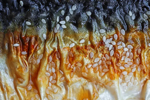 お弁当セット醤油焼きサバ — ストック写真