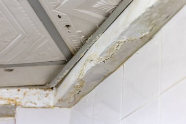 Memleket kirişlerinin çatlak sütunları