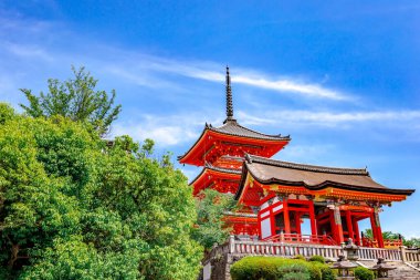 Kiyomizu-dera Tapınağı 'nın bakış açısı