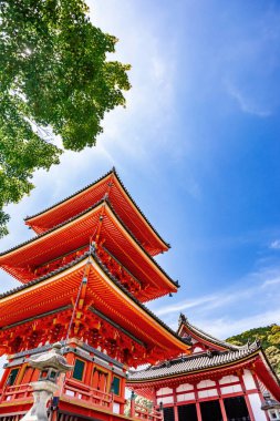 Kiyomizu-dera Tapınağı 'nın bakış açısı