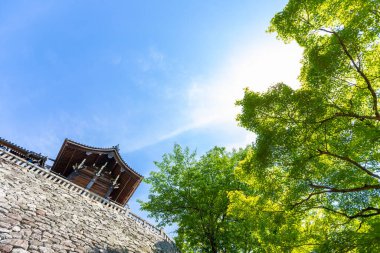 Kiyomizu-dera Tapınağı 'nın bakış açısı