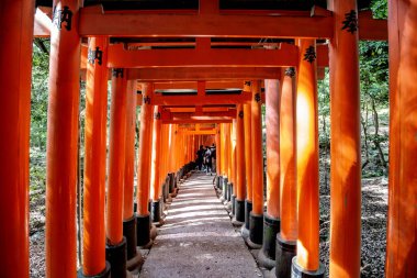 Fushimi Inari Tapınağı 'ndaki Torii kapıları, Kyoto, Japonya