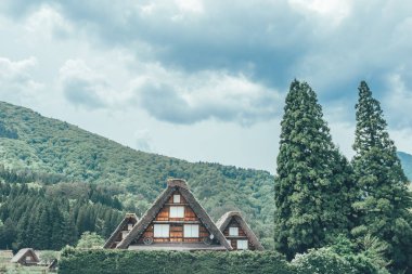 Tarihi Japon köyünün doğası. Shirakawa-go, Japonya