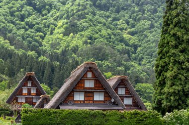 Tarihi Japon köyünün doğası. Shirakawa-go, Japonya