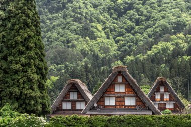Tarihi Japon köyünün doğası. Shirakawa-go, Japonya