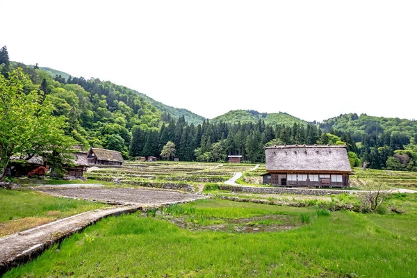 Naturaleza Alrededor Histórica Aldea Japonesa Shirakawa Japón — Foto de Stock