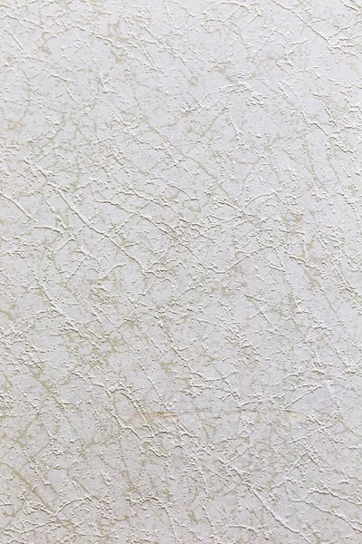 Teksturowany Papier Morwowy Suchym Kwiatem Suchym Liściem — Zdjęcie stockowe