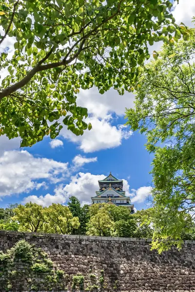 Замок Осака Огляди Навколо Нього — стокове фото