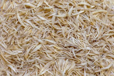 Beyaz arkaplanda izole edilmiş tırnak kesimi