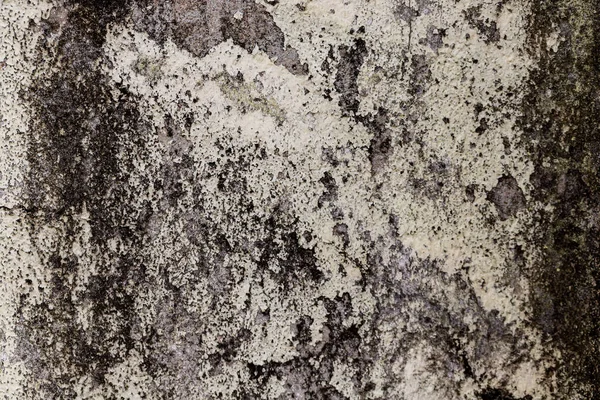 Cement Wall Black Background — Zdjęcie stockowe