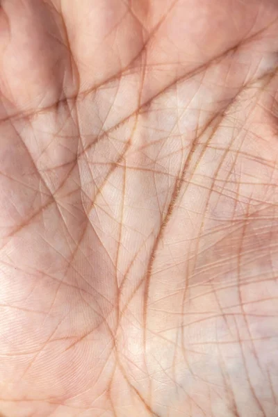 Lines Palm Hand — Stock Photo, Image
