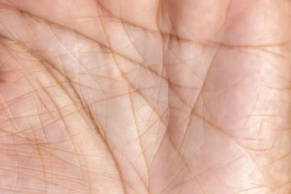 Lines Palm Hand — Stock Photo, Image