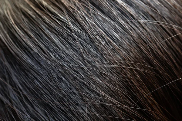 Седые Волосы Пожилых Женщин — стоковое фото