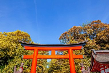 Fushimi inari türbesi, kyoto, japan manzarası çok güzel..