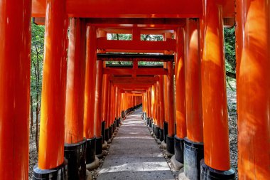 Parktaki kırmızı kapı.