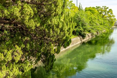 Güzel göl ve parktaki yeşil ağaçlar
