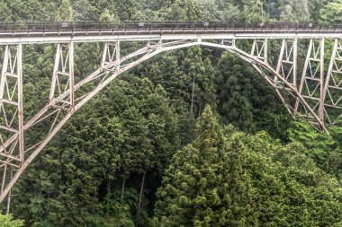 Ormandaki demiryolu köprüsü
