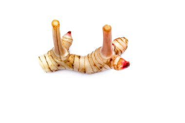 Beyaz arkaplanda taze zencefil