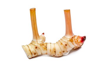 Beyaz arkaplanda kurutulmuş kırmızı biber