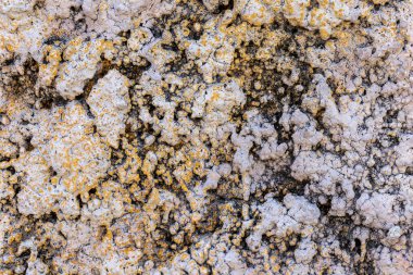 taş arkaplan dokusu