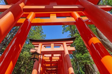 Fushimi taitaisha sha türbesi. Kyoto, Japonya