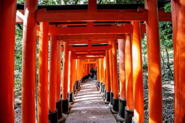 Güzel manzaralı kırmızı kapı.