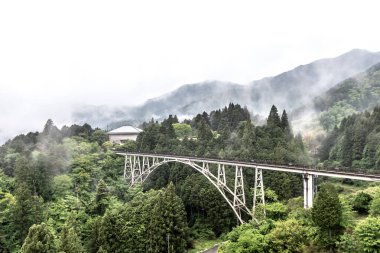 Dağlar arasındaki köprüde tren var.