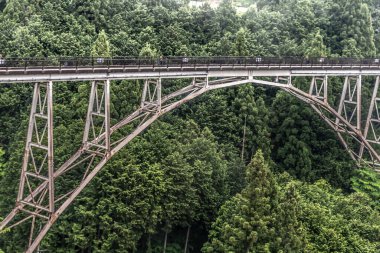 Ormandaki demiryolu köprüsünün havadan görünüşü