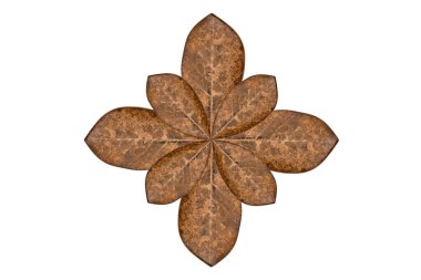 kahverengi yıldız anason beyaz arkaplanda