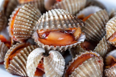 Bir kabukta taze midye, yakın çekim