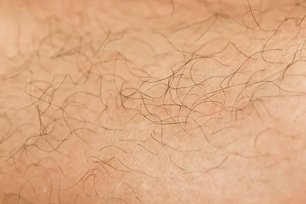 stock image close up view of the skin of male hair