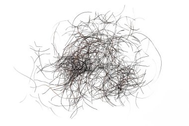 pubic hair fall isolated on white background