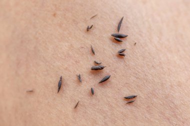 Spa dead skin to remove dirt from the body.