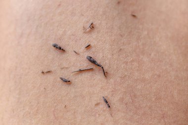 Bir kadının eline yakın çekim.