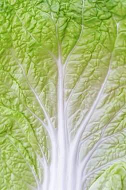 Arka plan taze marul yaprakları