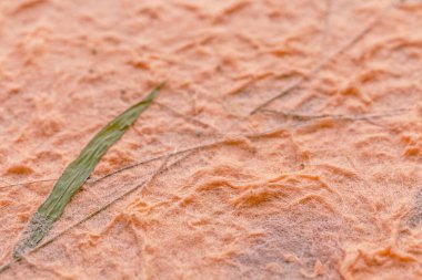 Kuru çiçek ve kuru yapraklı dut kağıdından yapılmıştır. 