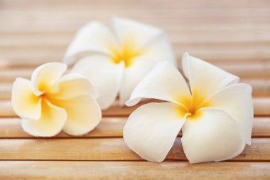 Tahta masadaki frangipani çiçeği, spa konsepti.