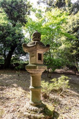 Kyoto, Japonya 'daki Japon bahçesi.
