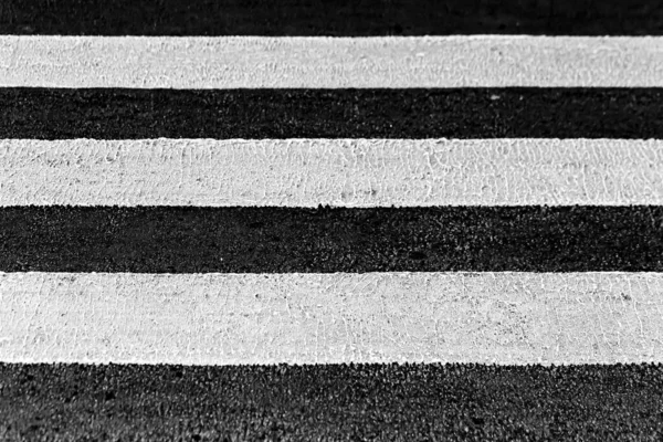 Zebra yoldan geçiyor..