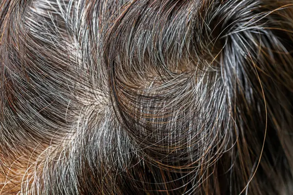 hair and brown hair texture, close - up of the hair