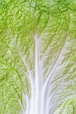 lahana yaprakları, taze sebze dokusu.
