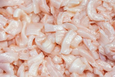 kadar taze kalamar kapatın