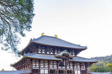 Bu güzel sabahta yasak şehrin tapınağı.