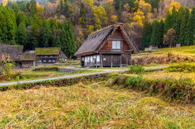 shirakawago, Japonya - Eylül 29, 2016: Sonbahar sahnesi - Japonya 'daki köye git