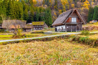 Unesco unesco miras sitesinin bulunduğu bir bandhan 'ın Hint geleneksel mirası rakununda sonbahar mevsimi.