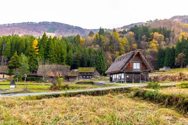 Japonya, Rakawa 'da sonbahar.