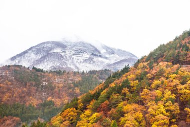 Etrafında akçaağaç yaprağı olan Fuji Dağı 'nın güzel manzarası
