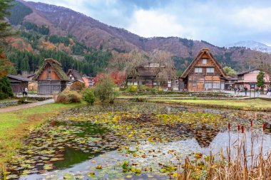 Rakawa - Japonya - Kasım 2022 - Geleneksel köy rakawa 'nın sonbahar manzarası