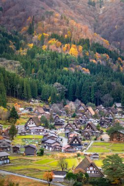 Renkli ağaçlarla dolu sonbahar manzarası
